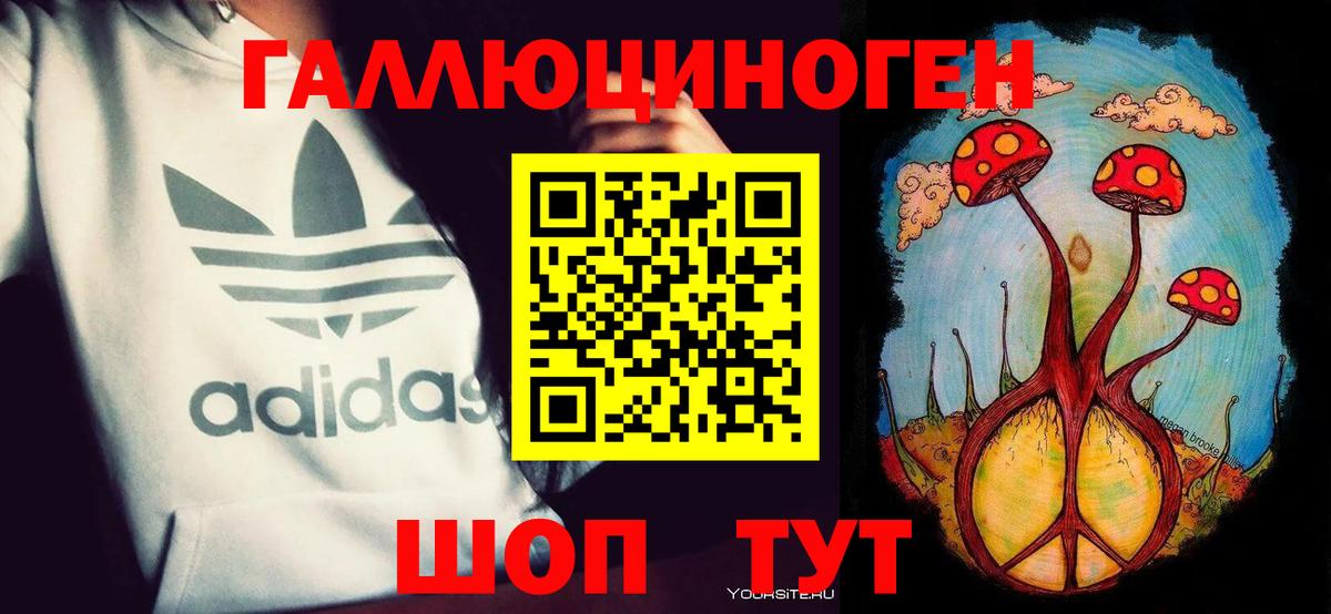 Галлюциногенные грибы Psilocybe Лабинск