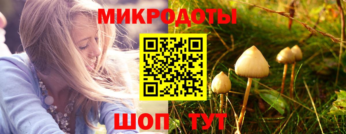 Псилоцибиновые грибы Cubensis  Вход с VPN  Лабинск  Псилоцибиновые грибы мицелий 