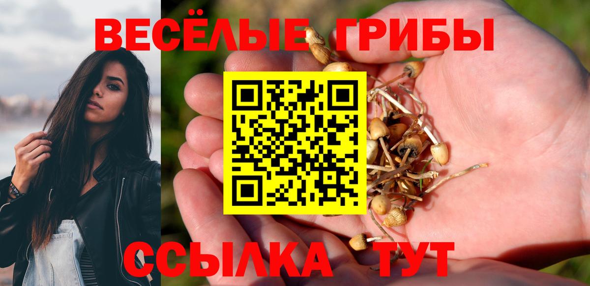 Псилоцибиновые грибы Psilocybe Лабинск