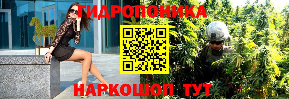 Каннабис White Widow  Марихуана план  Лабинск  Вход с VPN  Марихуана тримм 